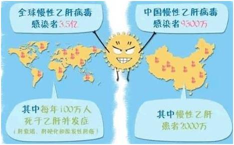 乙肝病毒的那些事儿