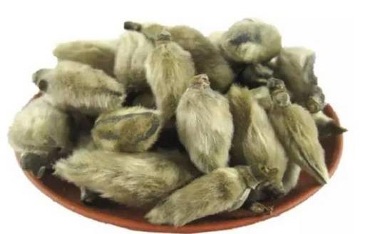 鼻炎又犯了 教你一招治鼻病 医学界 助力医生临床决策和职业成长