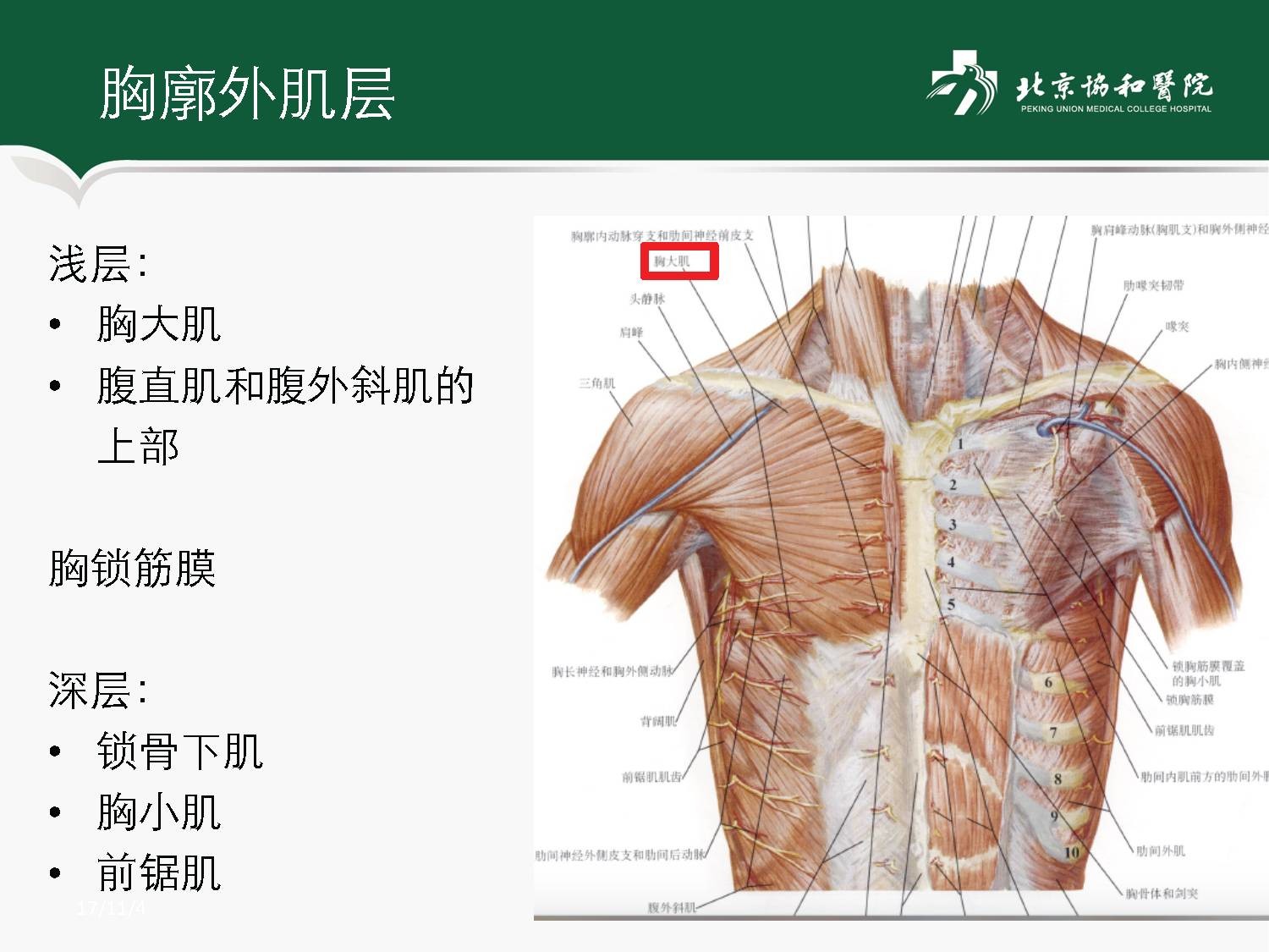 林赛罗汉