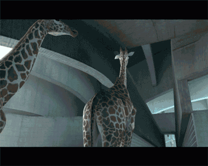 410_328gif 动态图 动图