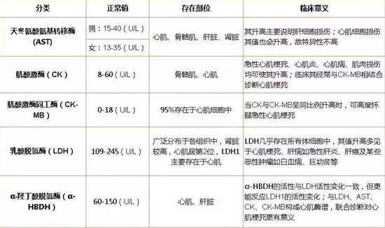 细腻的心肌酶高是什么意思的插图