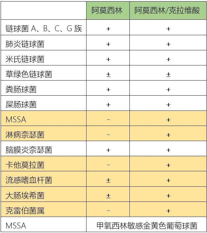 表1:阿莫西林与阿莫西林/克拉维甲酸的抗菌谱对比