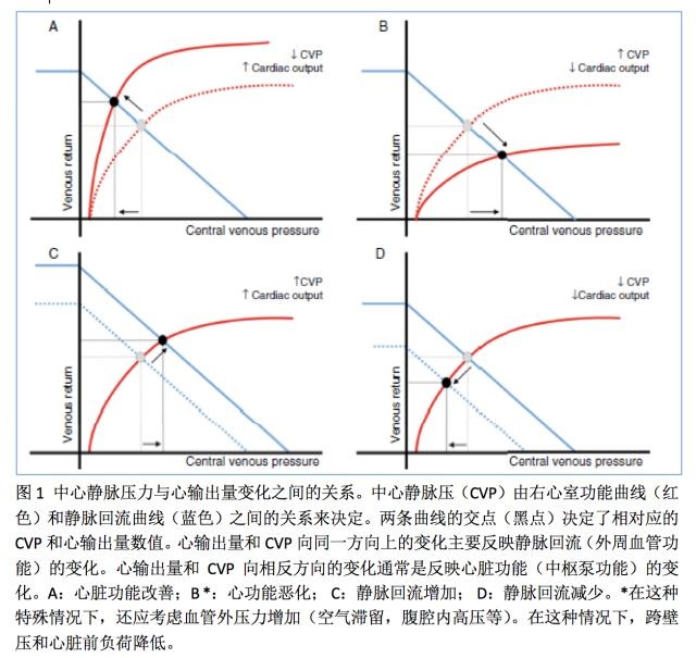 为什么我们应该继续测量中心静脉压？