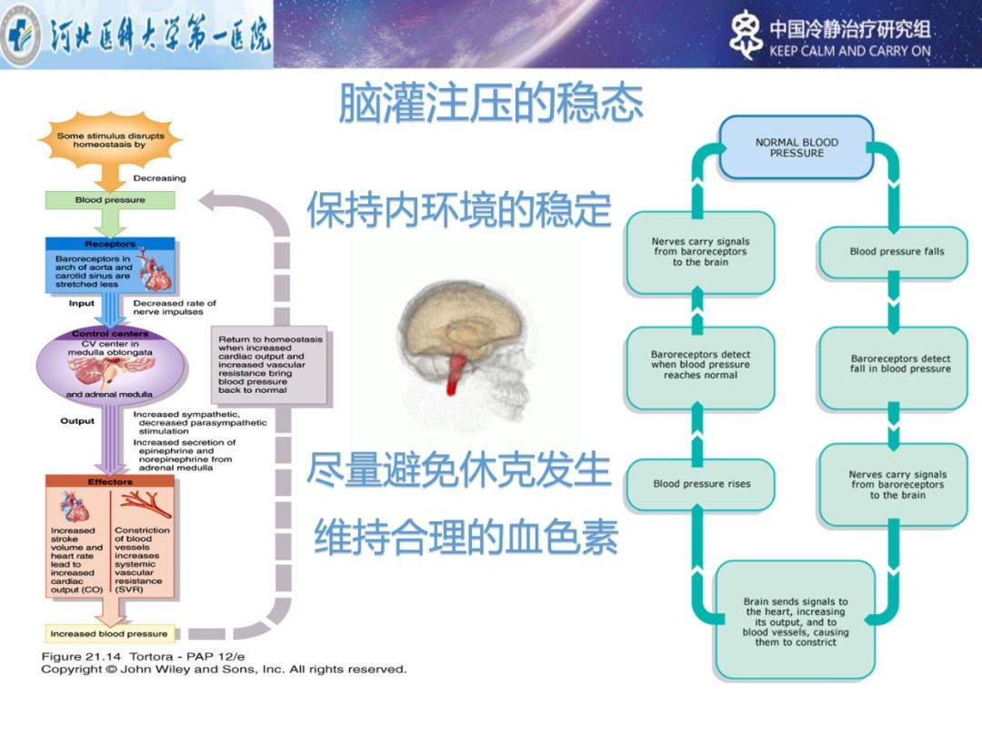2. 灌注压的稳态。合理的脑灌注压，是stbi患者术后恢复的重要干预指标，脑