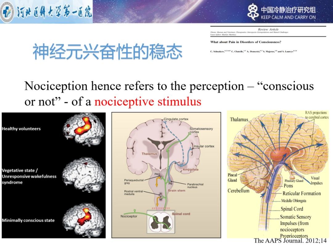 5. 神经兴奋性的稳态。之前我们已经说过，对于stbi患者，强烈的应激是一种