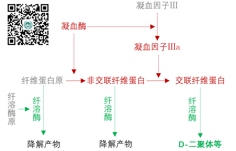 肺栓塞患者如何選擇溶栓藥物和抗凝藥物?