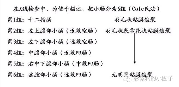 正常小肠影像解剖_医学界-助力医生临床决策和职业成长