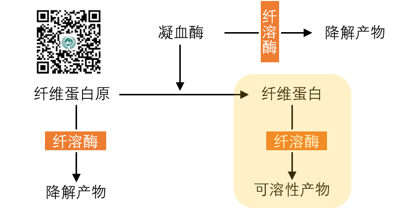 阿替普酶 尿激酶图片