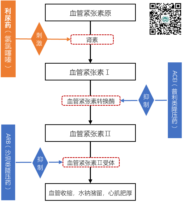 单片复方制剂(spc)降压药物的应用,已经成为提高血压达标率的重要手段