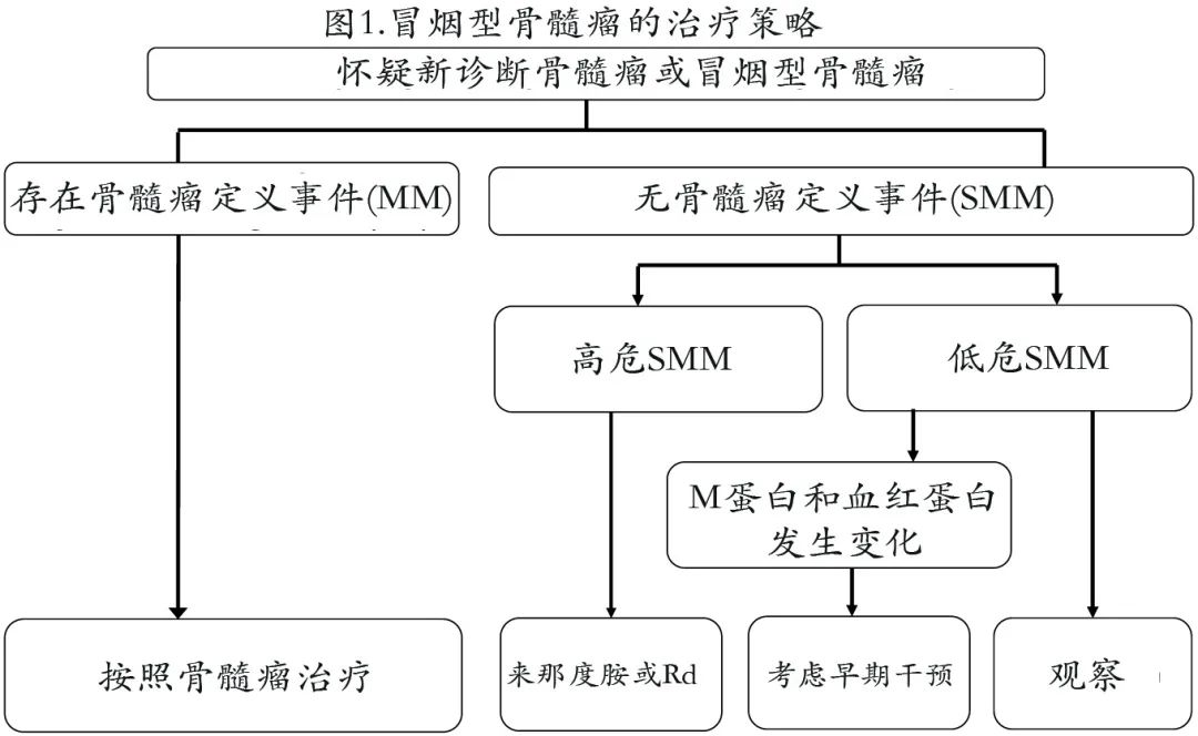 一文读懂:冒烟型骨髓瘤的当代治疗策略_医学界-助力医生临床决策和