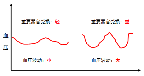 血压波动曲线图图片