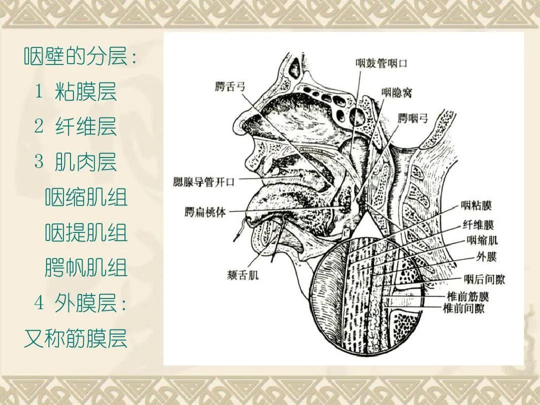 慢性咽炎的病根可能不在嗓子|咽部|鼻腔|食管|-健康界