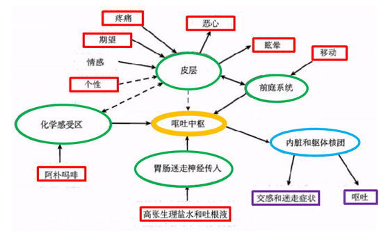 慢性呕吐实验图解图片