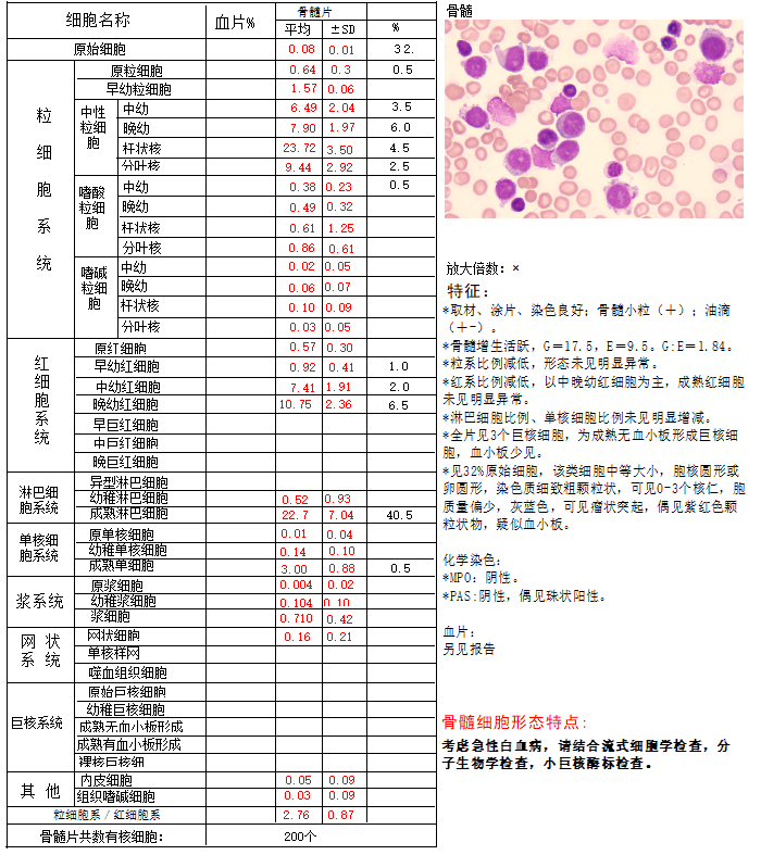图7 骨髓细胞学检查图8 流式细胞学检查图9 染色体核型分析图10 腹部