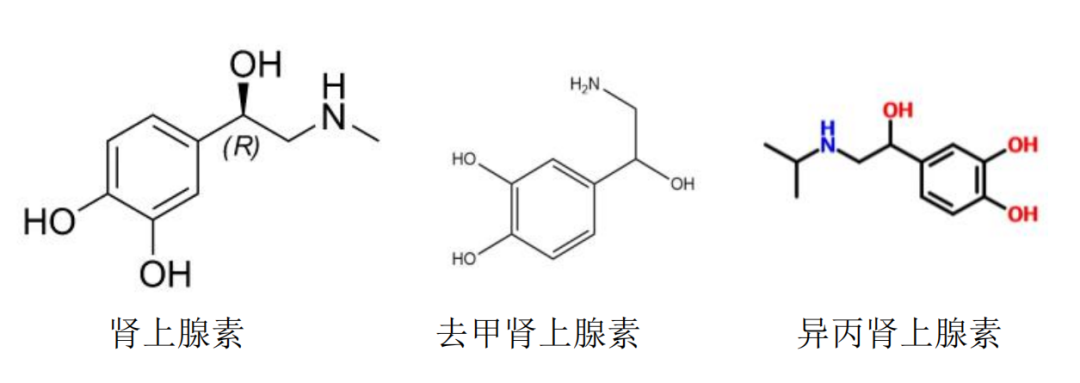 肾上腺素vs去甲肾上腺素,异丙肾上腺素,用药有何区别?_医学界-助力医