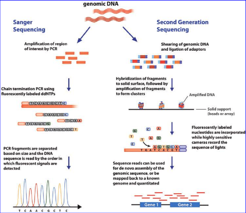 pcr-sanger-ngs-3