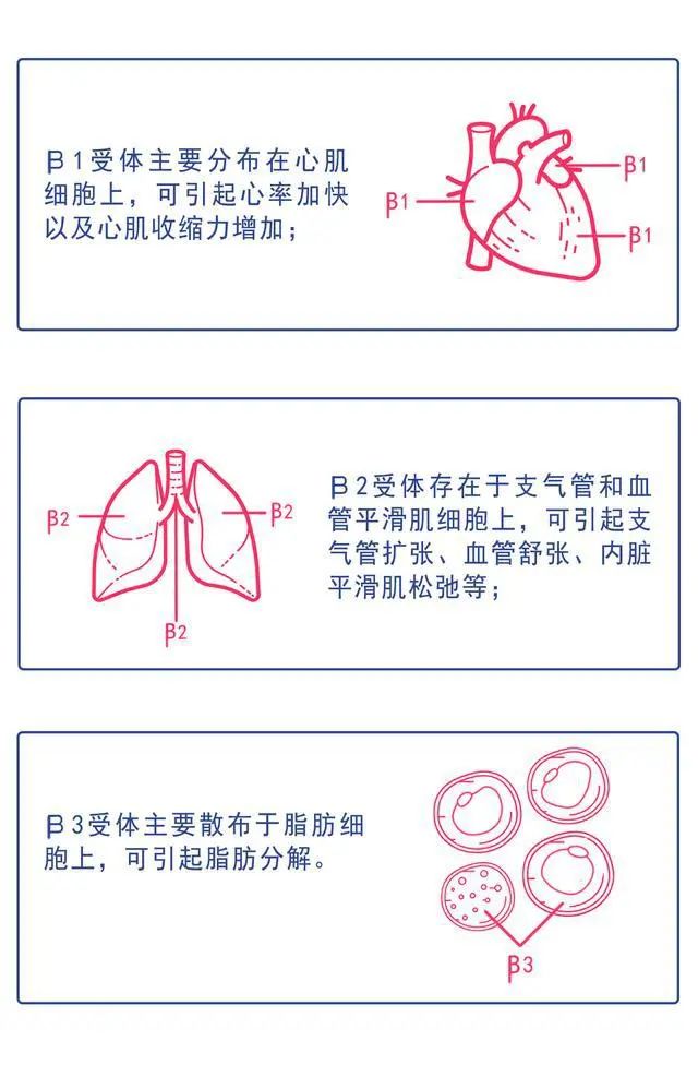 肾上腺素竟不能直接静推