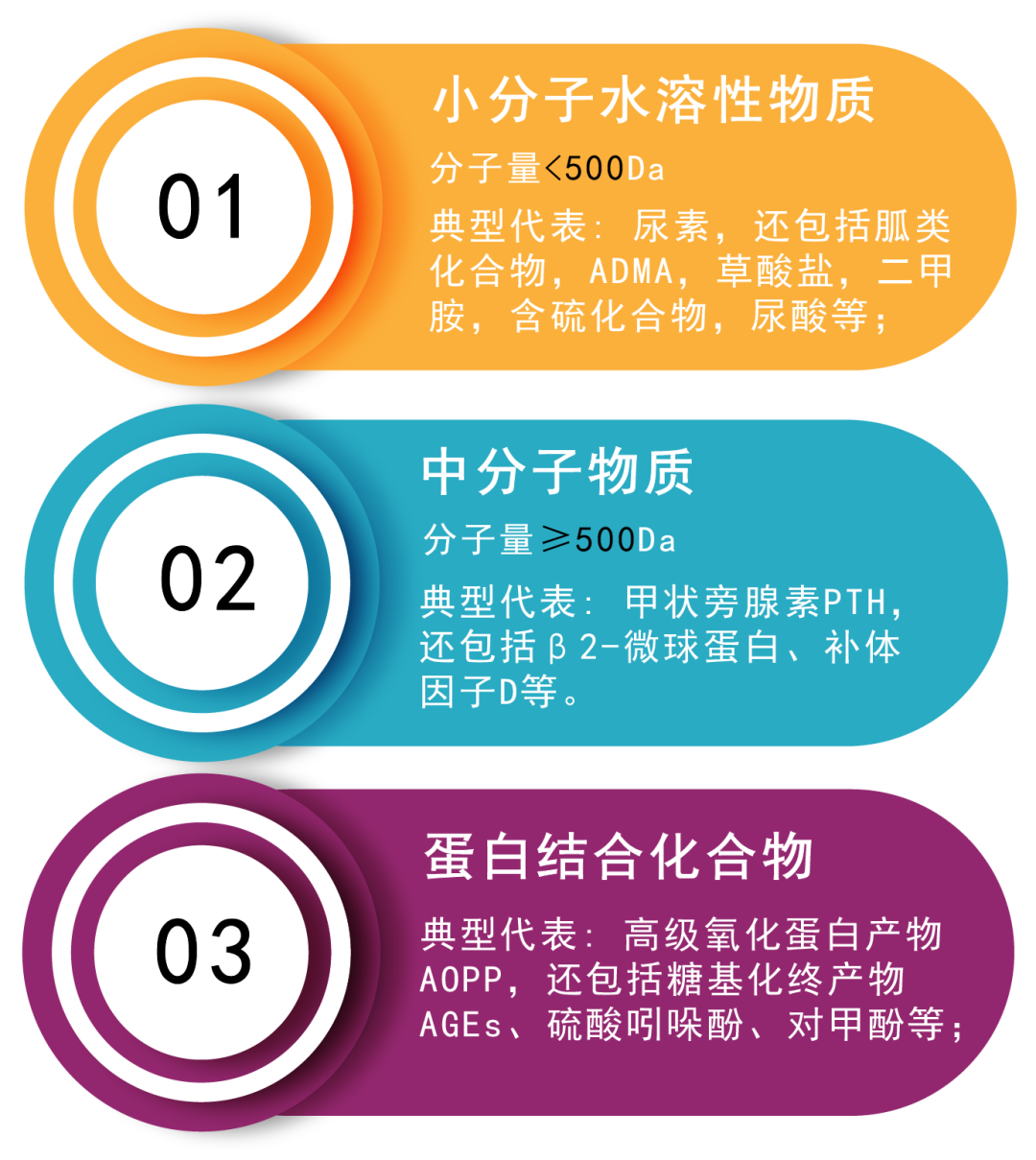我们知道,尿毒症毒素包括这么几大类:分子较小的水溶性化合物(如尿素)