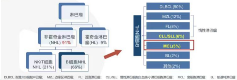 乾貨快收藏一文掌握套細胞淋巴瘤診治進展結尾還附典型病例哦